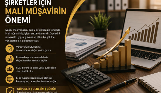 Şirketler İçin Mali Müşavirin Önemi